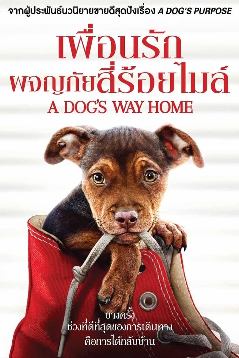 ดูหนังออนไลน์ฟรี A Dog’s Way Home (2019) เพื่อนรักผจญภัยสี่ร้อยไมล์